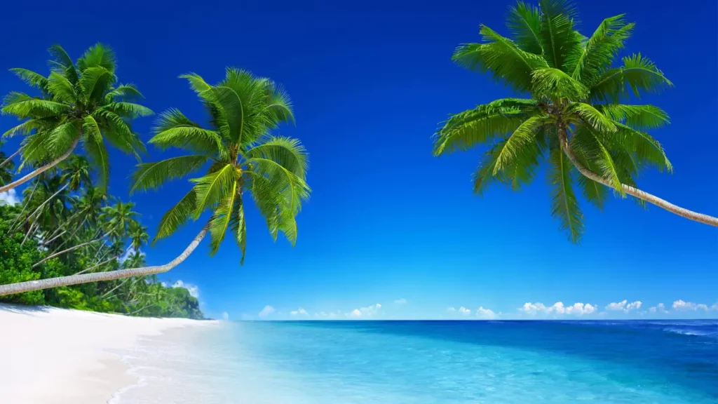 As principais atividades para se fazer na praia durante o verão!