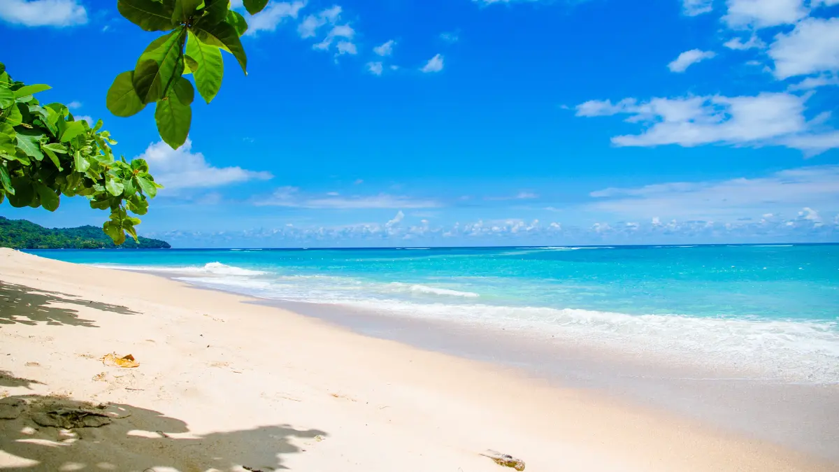 As principais atividades para se fazer na praia durante o verão!