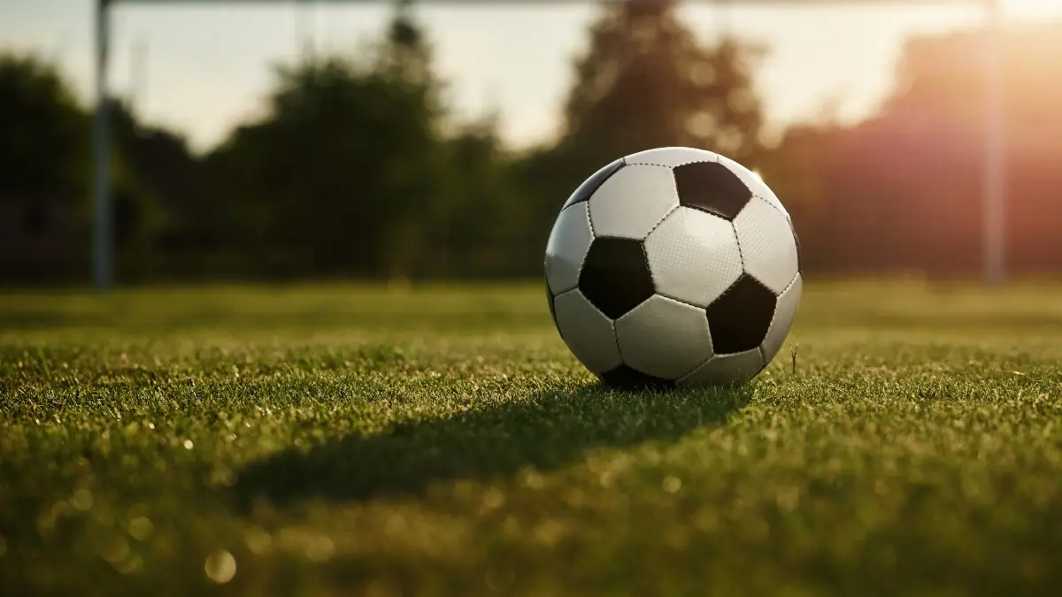Classificação do Palmeiras nos Campeonatos Nacionais