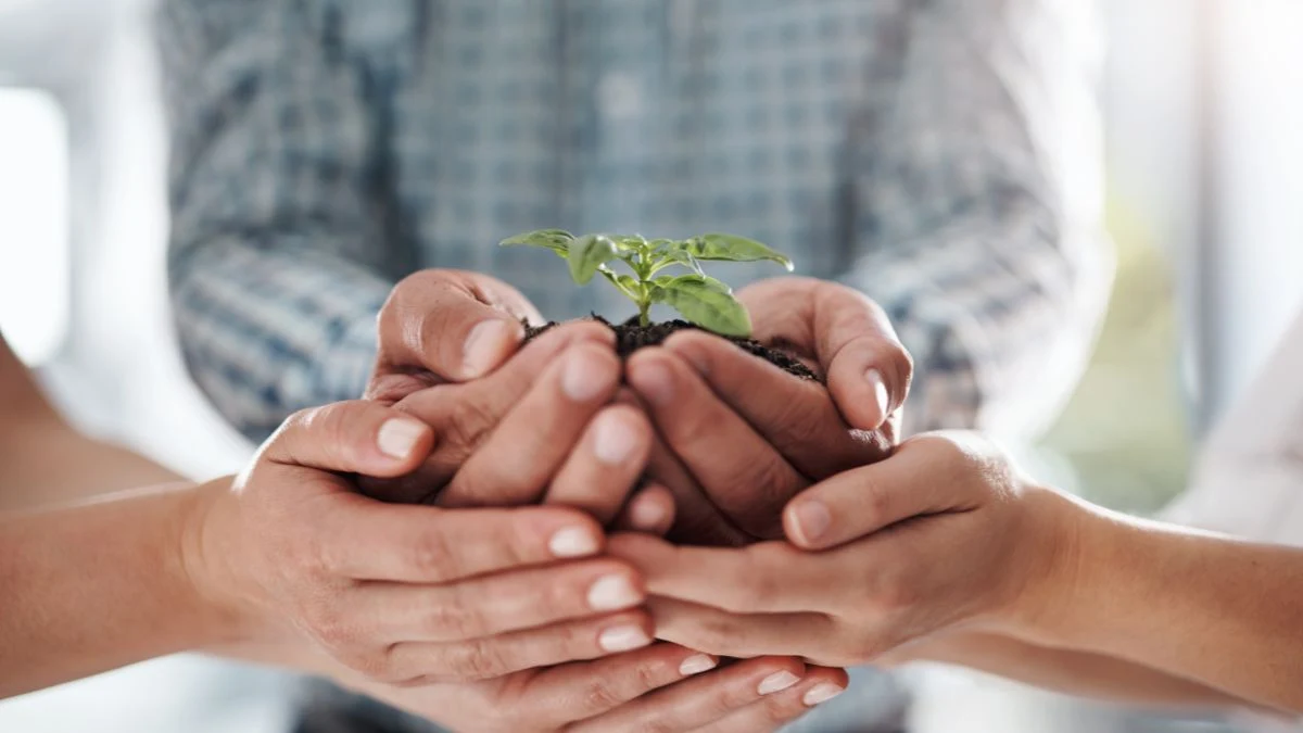 Qual a importância da sustentabilidade nas empresas