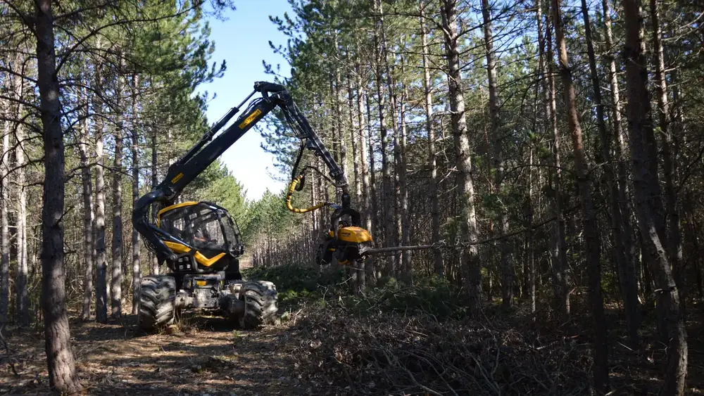 Skidder