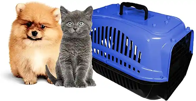 Caixa de transporte Gato, Caixa transporte Cachorro (Azul)