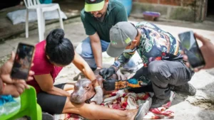 news 148444 filhote de hipop tamo da col nia de escobar resgat 1